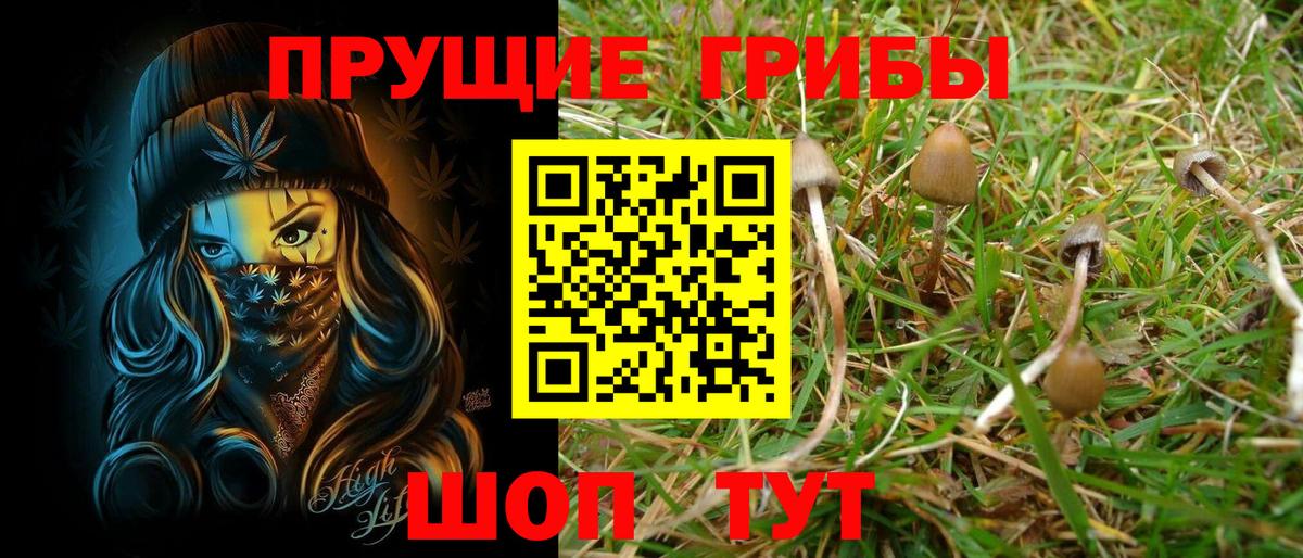 Псилоцибиновые грибы мухоморы Елец